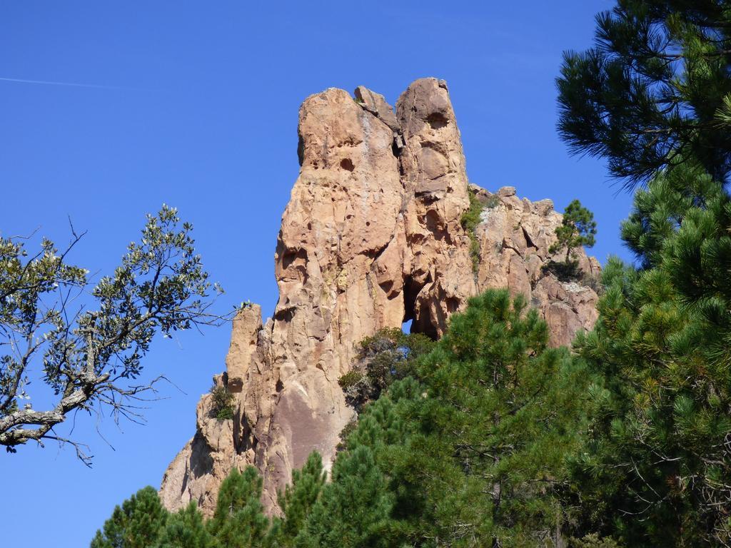 Chambres D'Hotes Vue Mer L'Esterel Panoramique Saint-Jean-de-l'Esterel Exterior photo